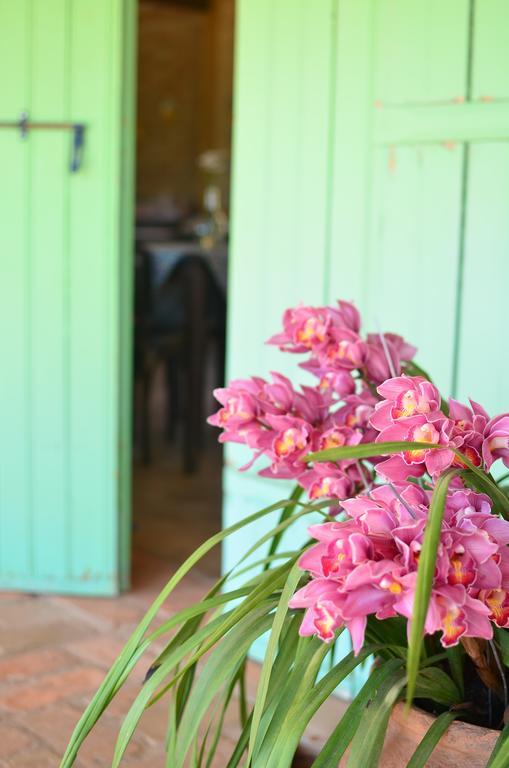 Cafezal Em Flor Turismo E Cafes Especiais Hotel มอนเต อัลเลเกร โด ซูล ภายนอก รูปภาพ
