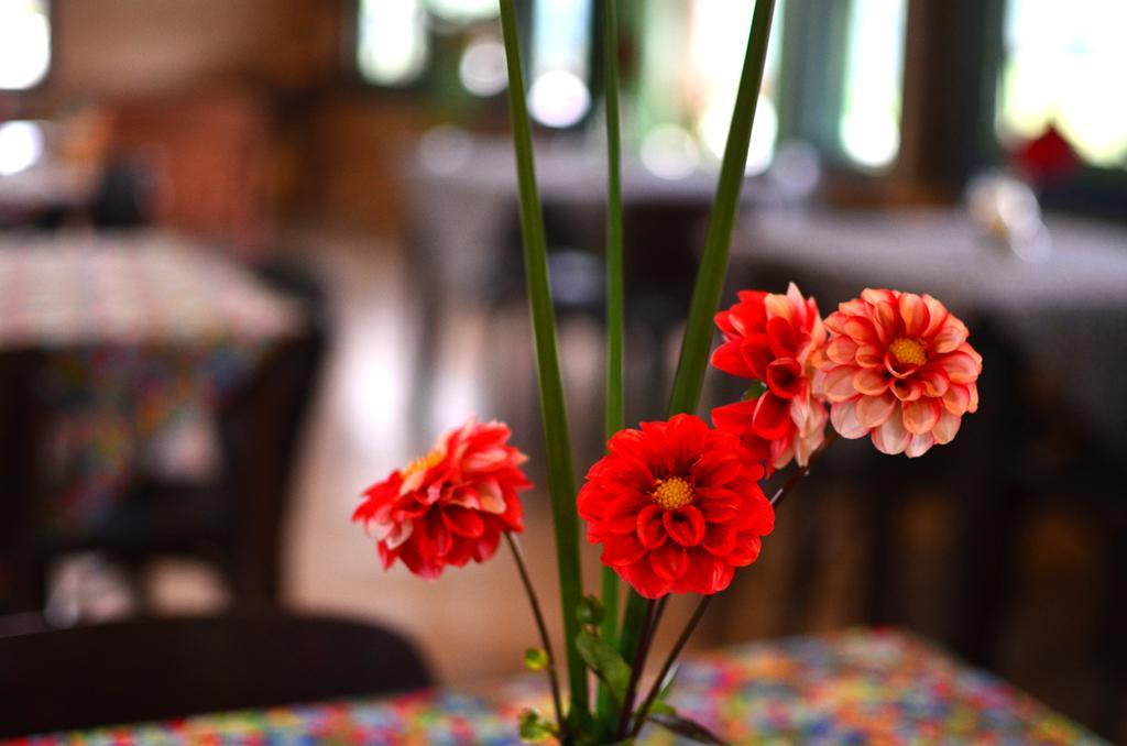 Cafezal Em Flor Turismo E Cafes Especiais Hotel มอนเต อัลเลเกร โด ซูล ภายนอก รูปภาพ